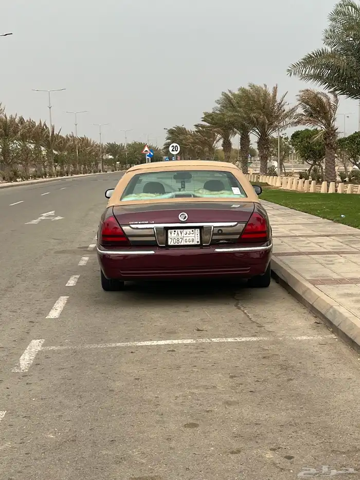 ماركيز جمرك توب فل الفل 6