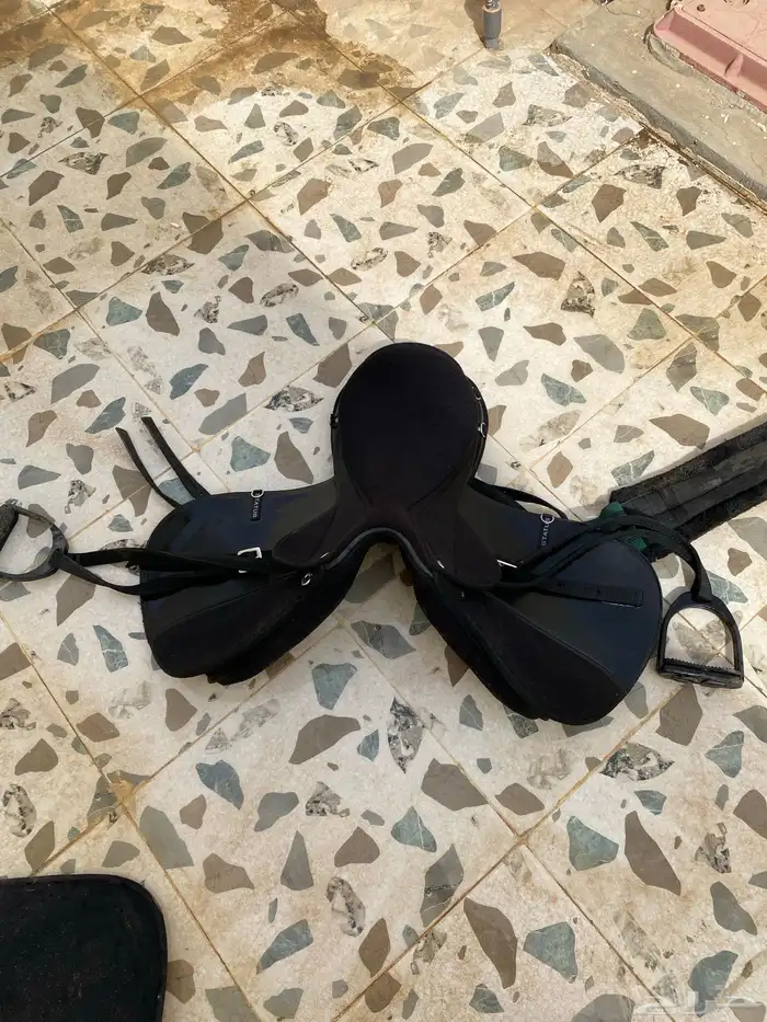 سرج جديد 1