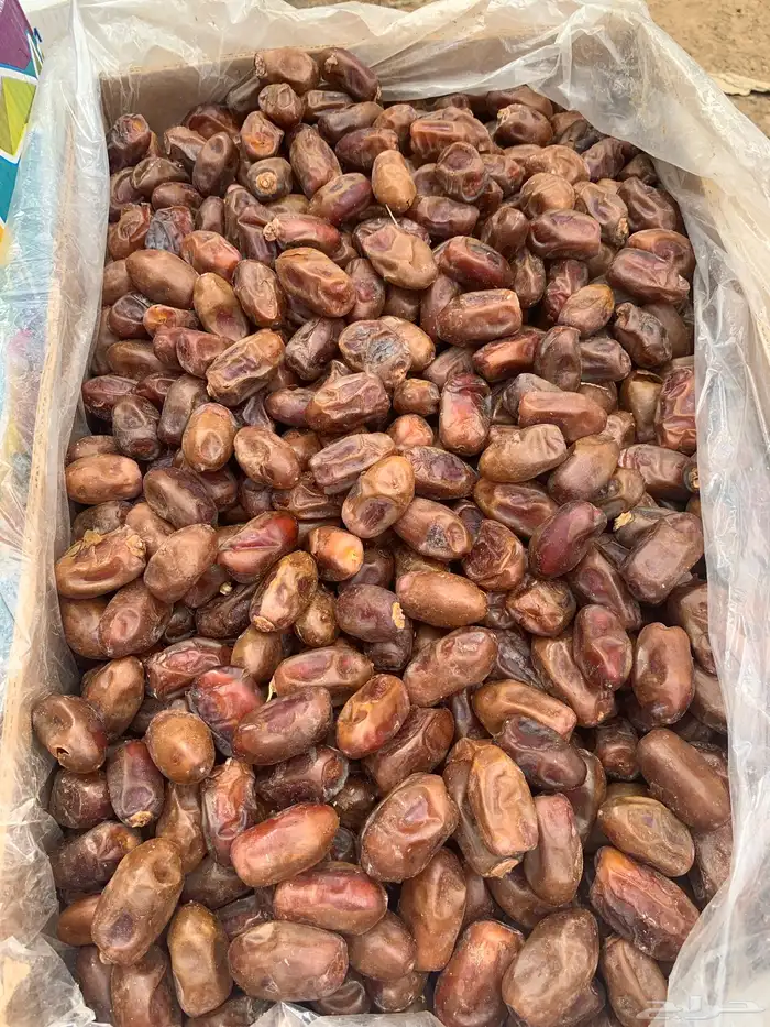تمر سري 0