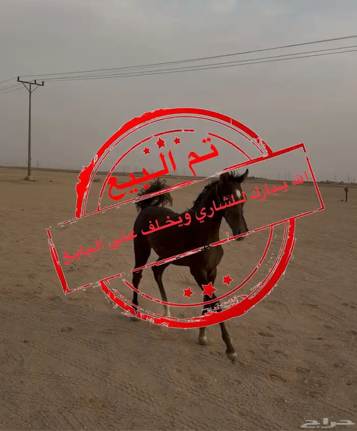 مهر واهو 0