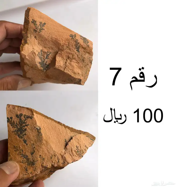 حجر طبيعي بأشكال مميزة ونقوشات طبيعية 100 6