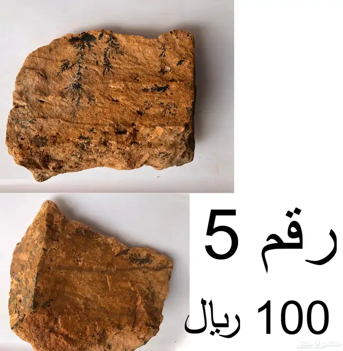 حجر طبيعي بأشكال مميزة ونقوشات طبيعية 100 4