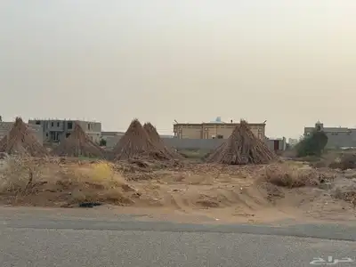 قصب خريف index