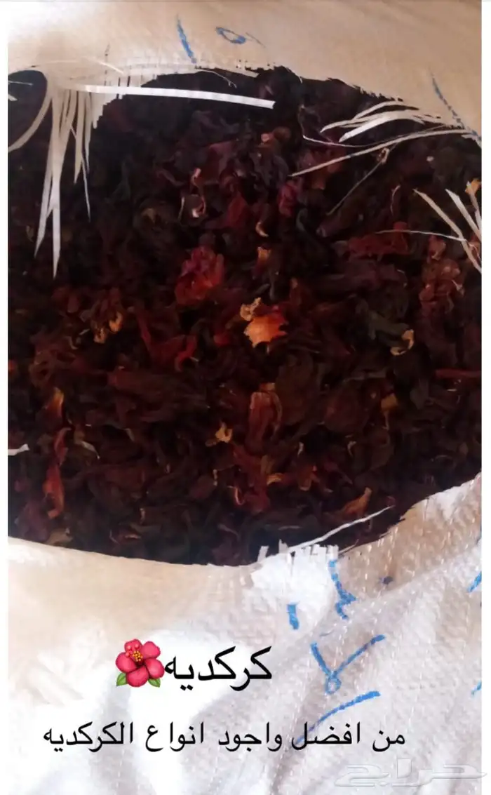 حبق المدينه 3