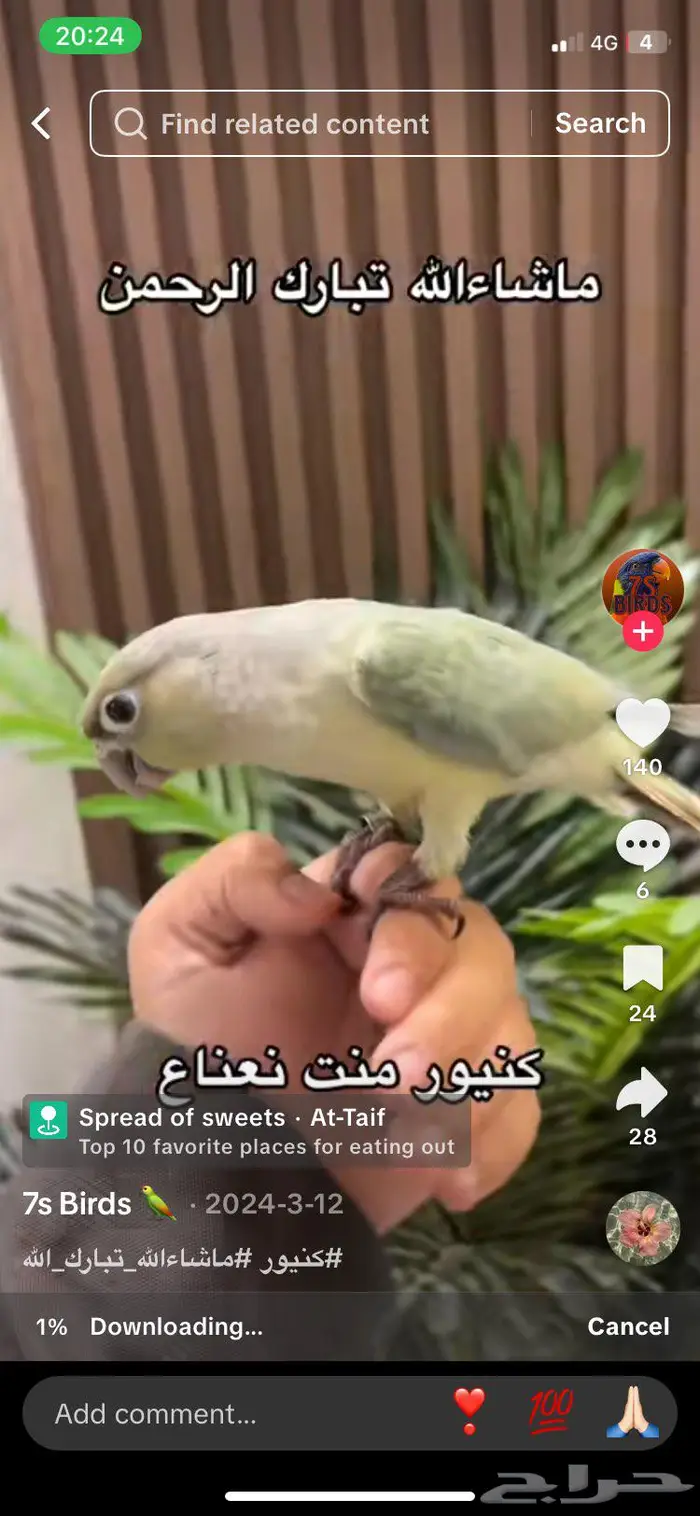 مطلوب كنيور 2