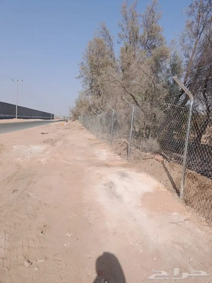 CNN V Vتريد وتركيب شبوك 1