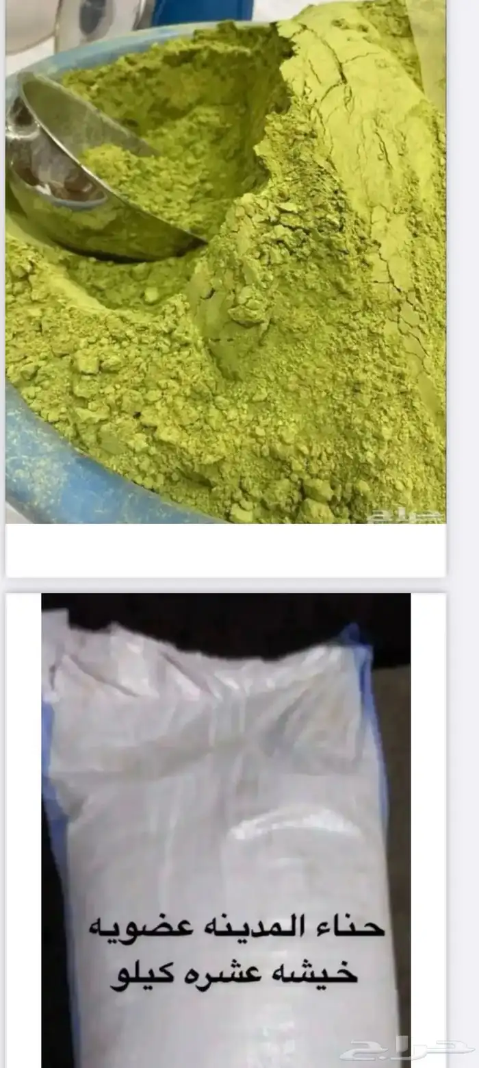 حبق المدينه 1