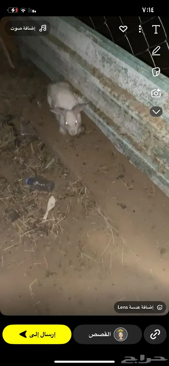 السلام عليكم 1