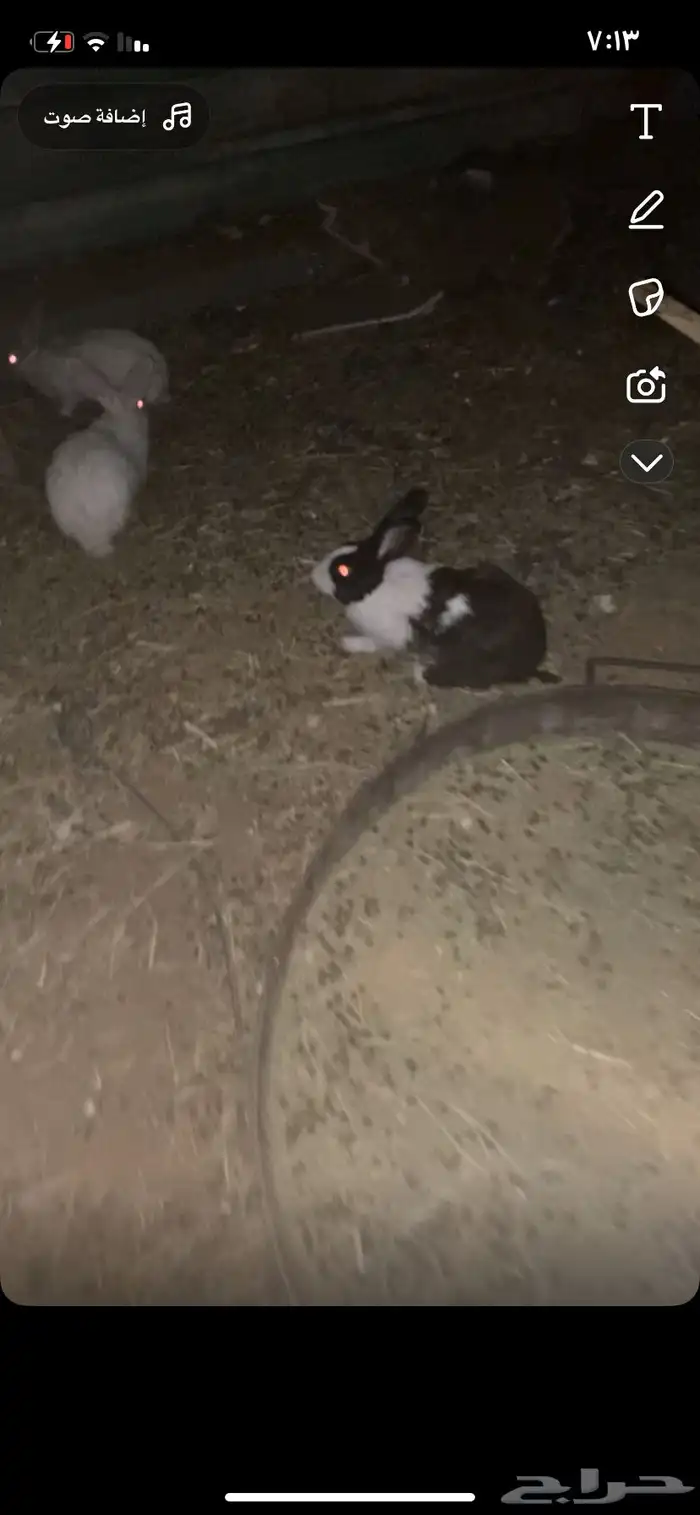 السلام عليكم 5