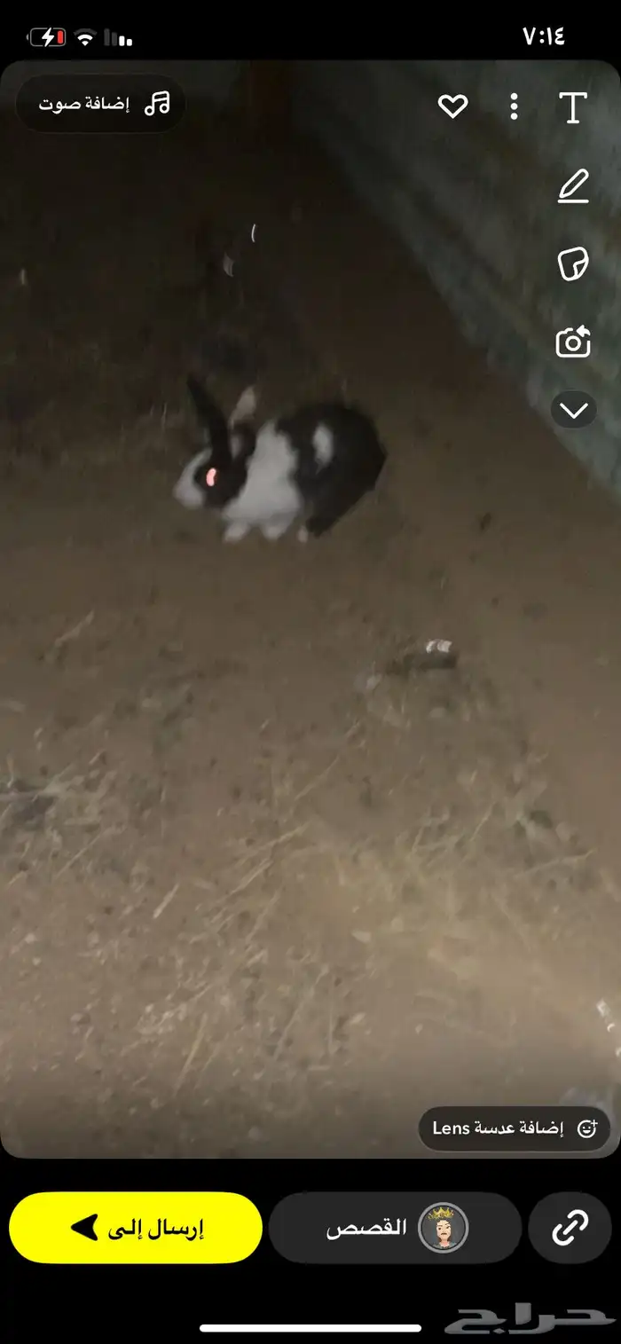 السلام عليكم 3