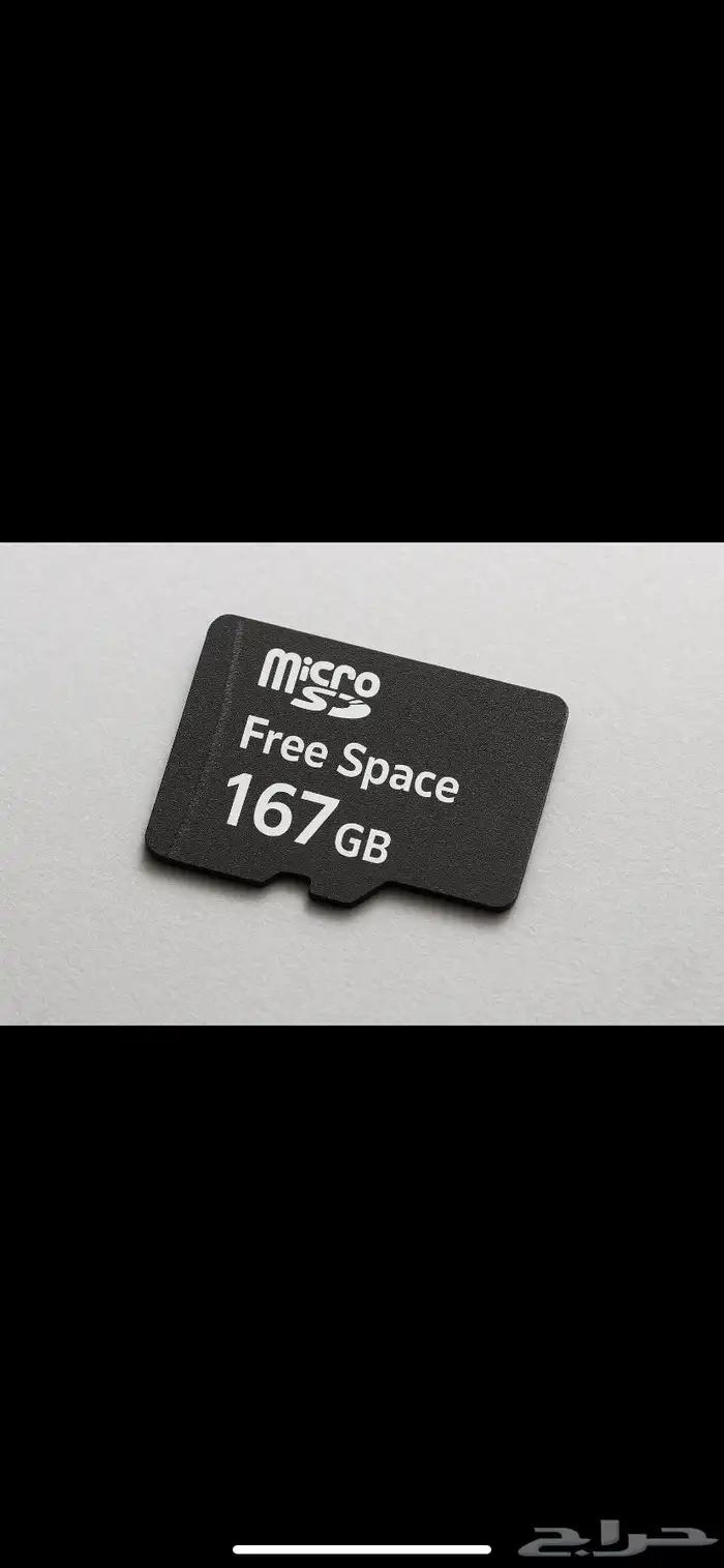 Nintendo Switch Lite نظيف   MicroSD 167GB 3