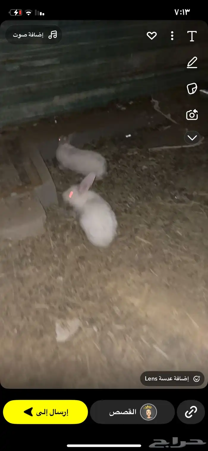 السلام عليكم 6