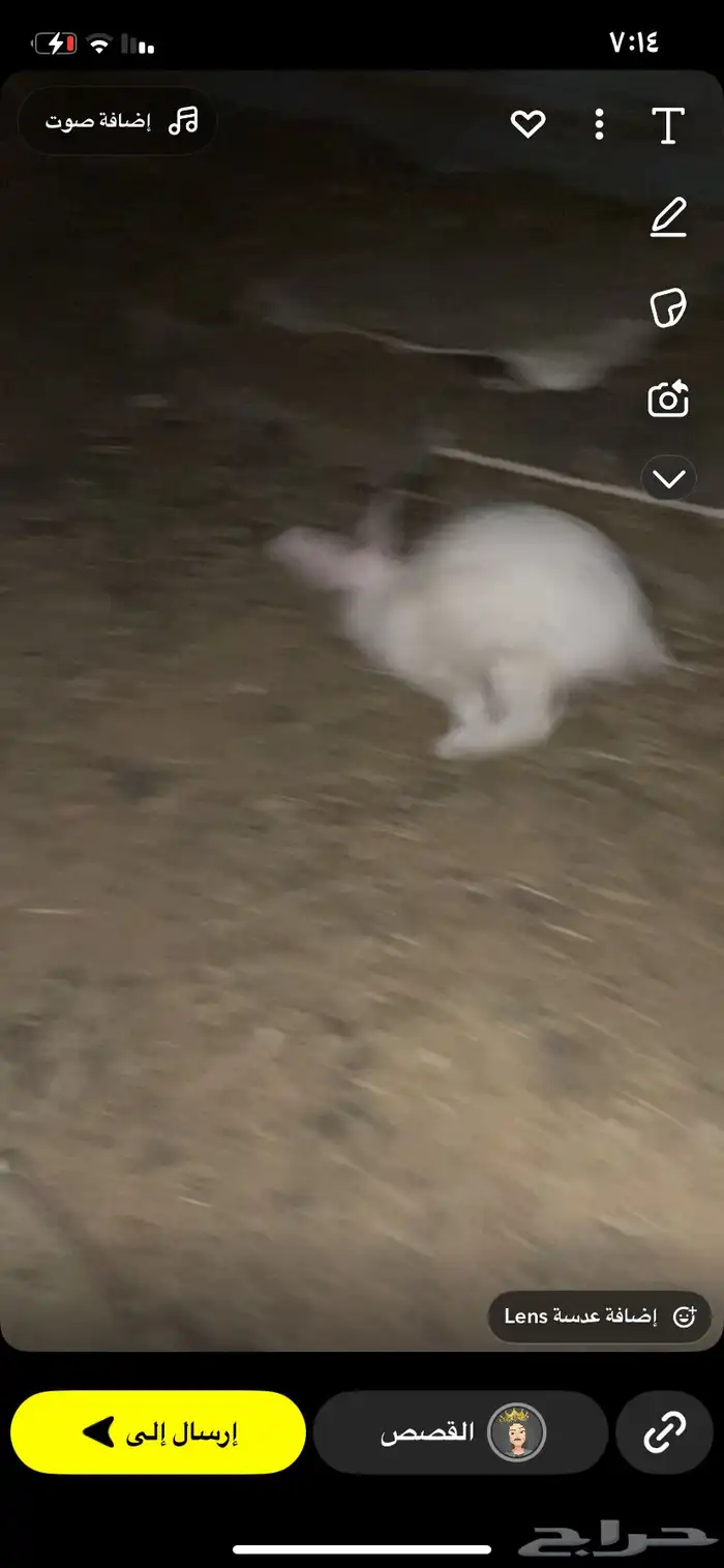 السلام عليكم 0