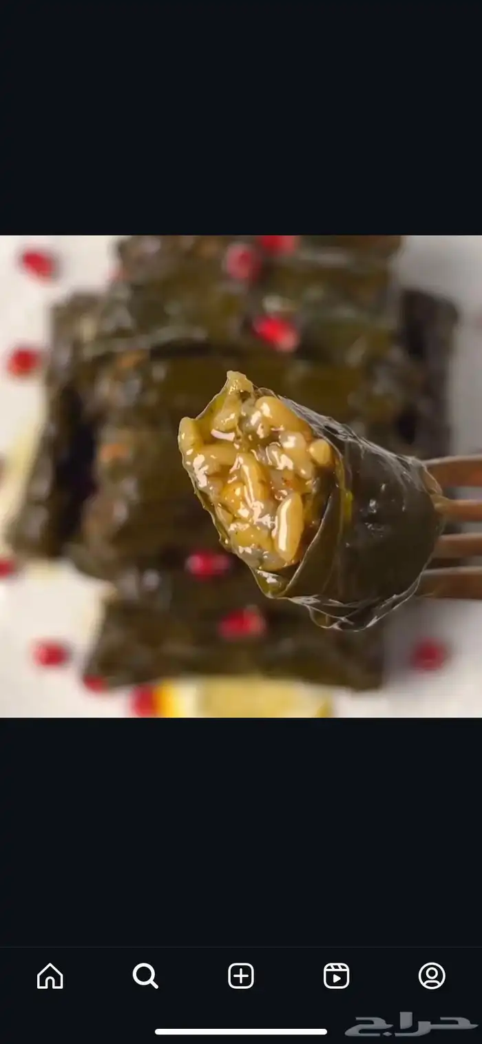 ورق عنب ملفوف محاشي مخللات 2