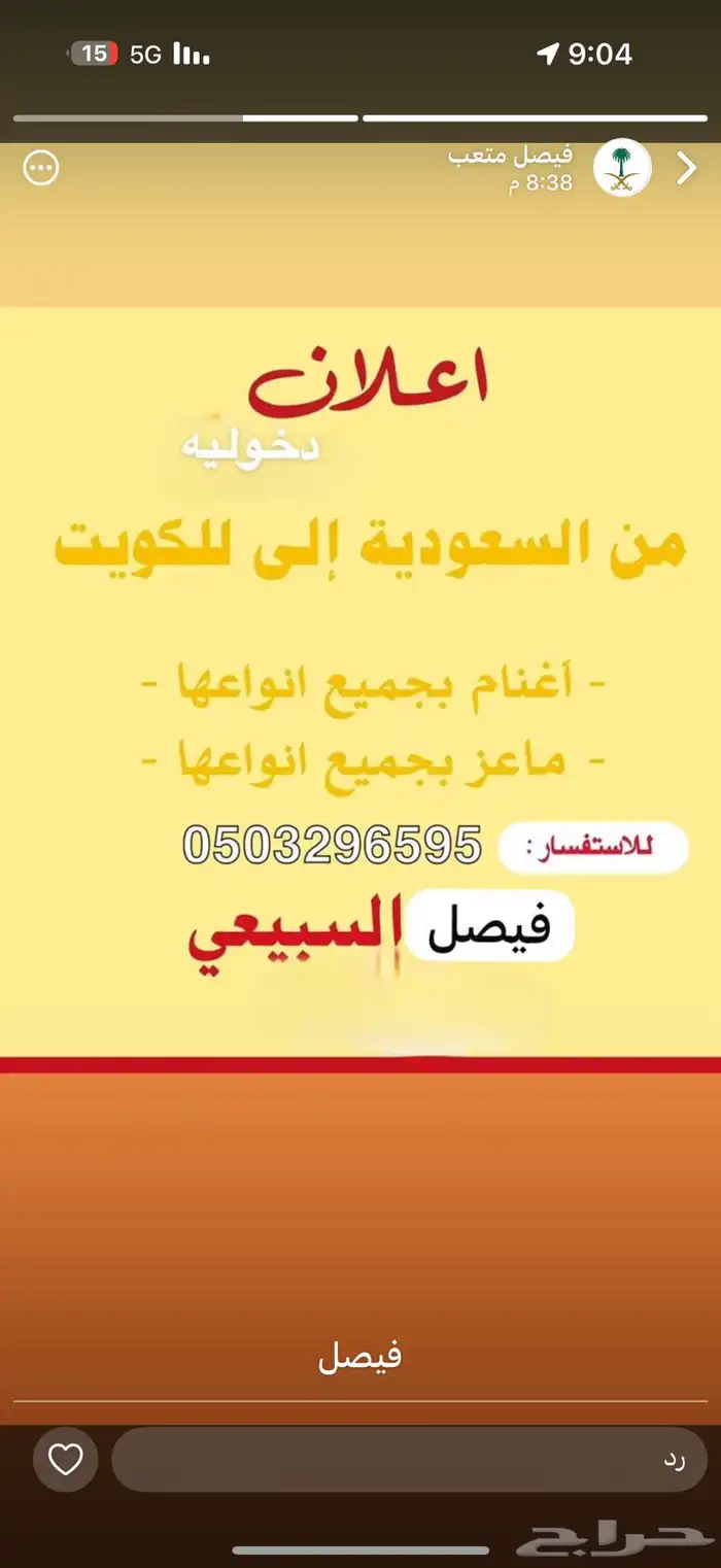 دخوليات غنم من السعودية إلى قطر والكويت 0