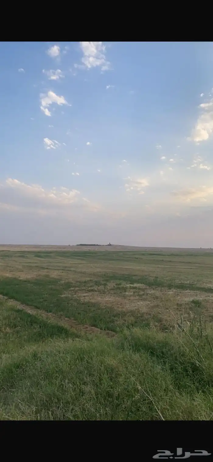 مزرعة للإيجار و للبيع 3