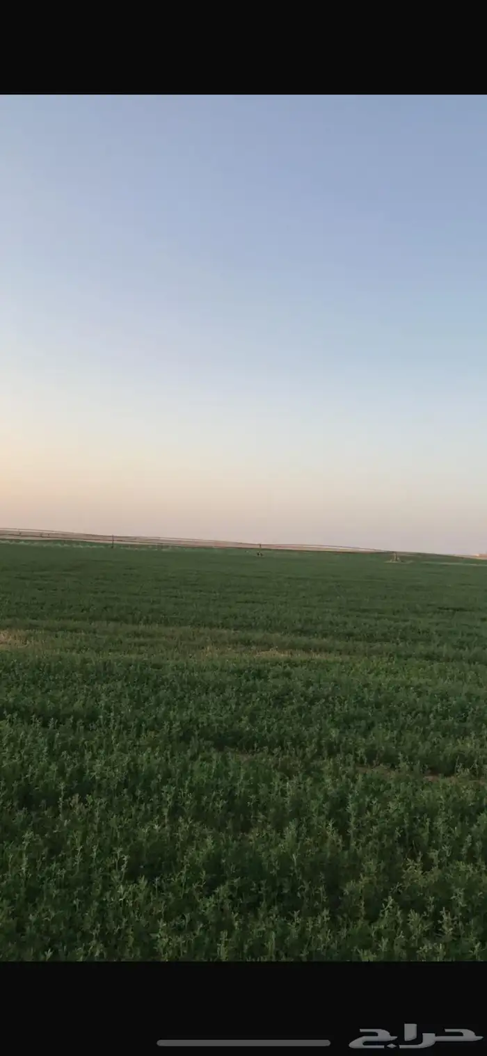 مزرعة للإيجار و للبيع 1