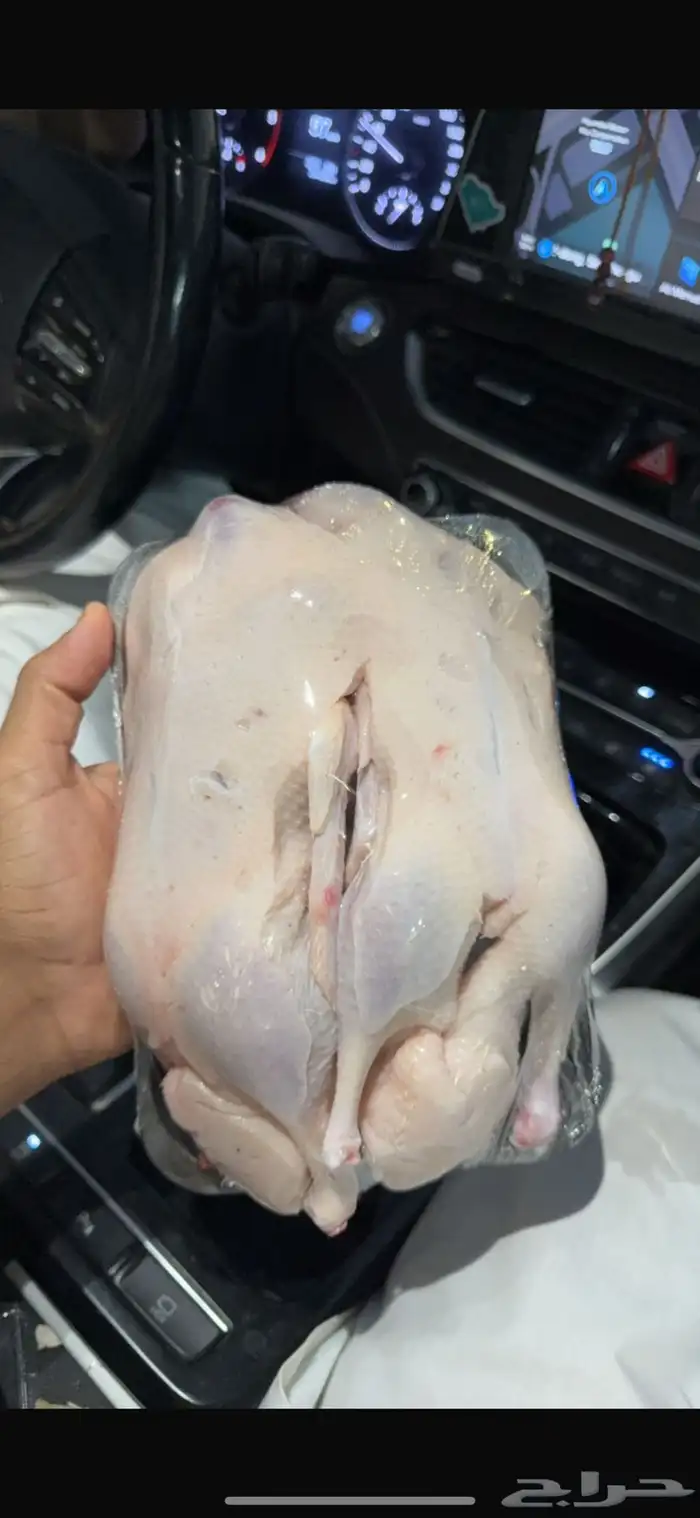 يوجد لدينا بط مختلف الأعمار ربط مذبوح سعر المذبوح 45 3