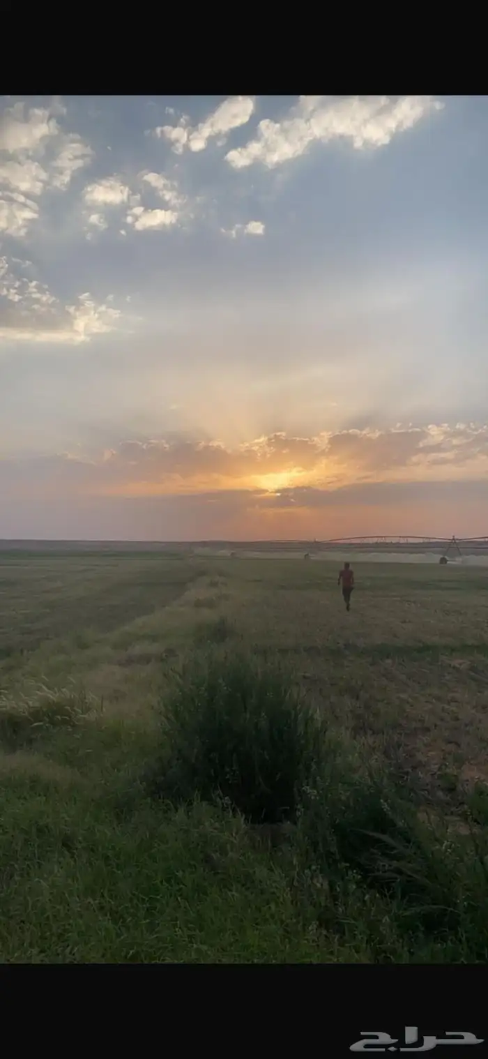 مزرعة للإيجار و للبيع 4