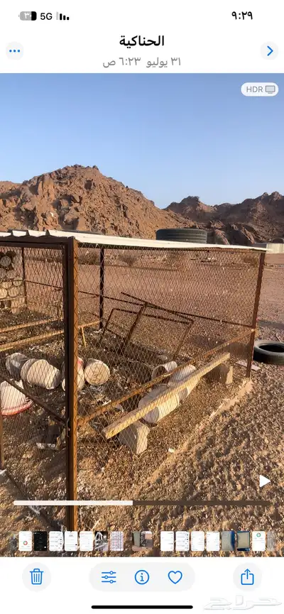 شبوك حمام وصطول بريال ونص ( الحناكيه ) index