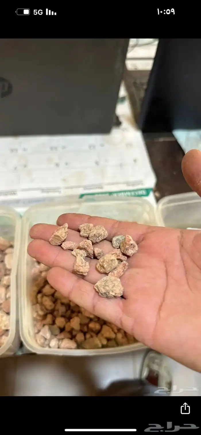 بطحاء حايل زينه فرش 29