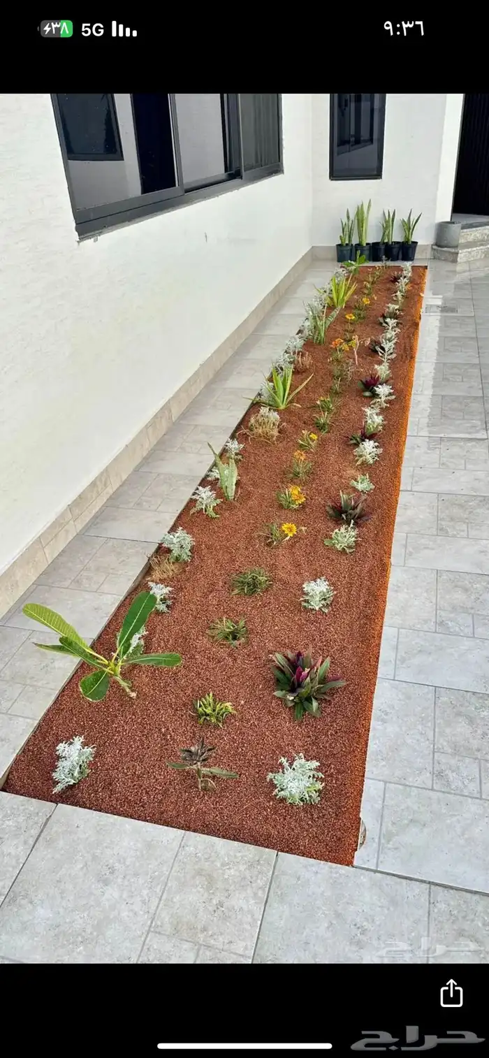 بطحاء حايل زينه فرش 3