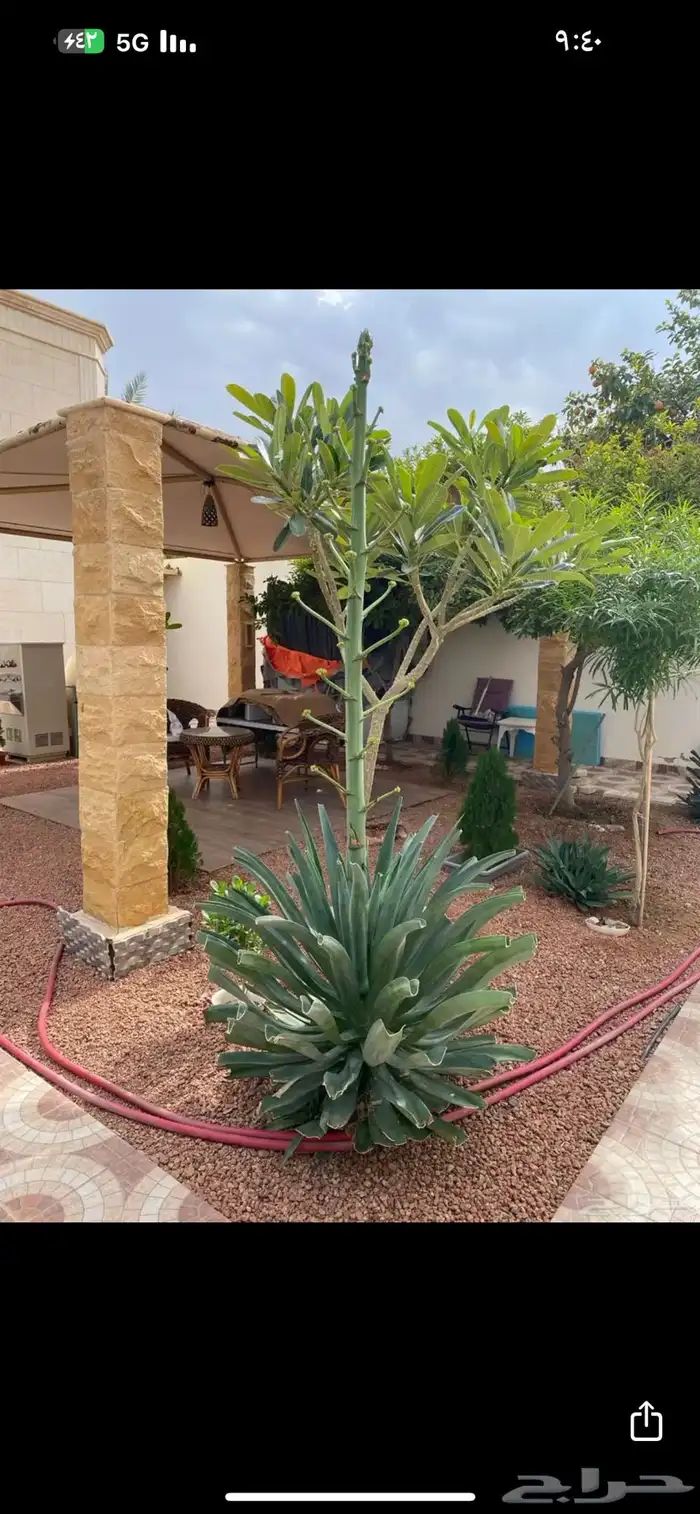 بطحاء حايل زينه فرش 17