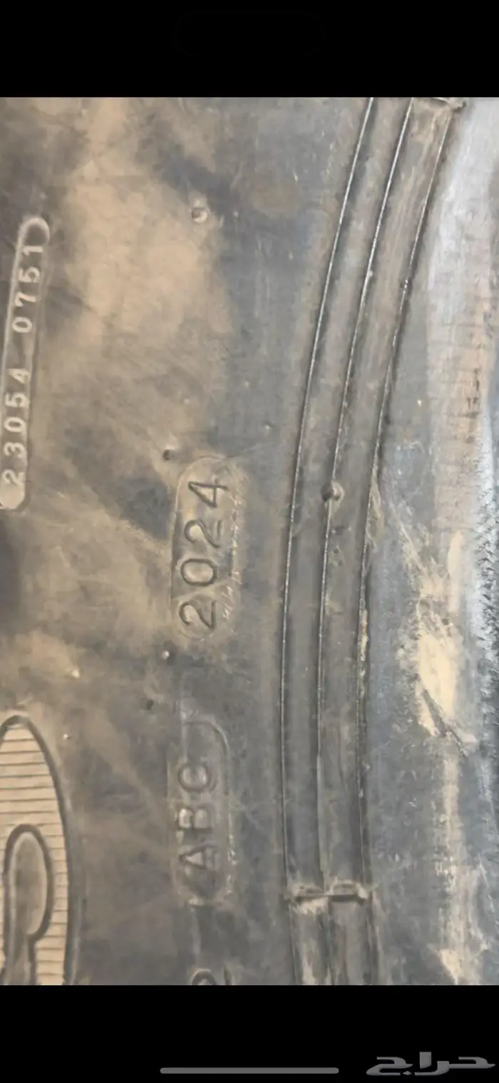 بلون ماكسس تاريخ 24 0