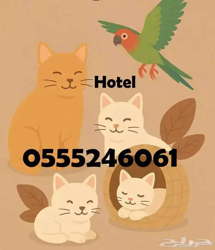 فندقة قطط وطيور 6061 24 0555 مشاهدة التقييمات 0