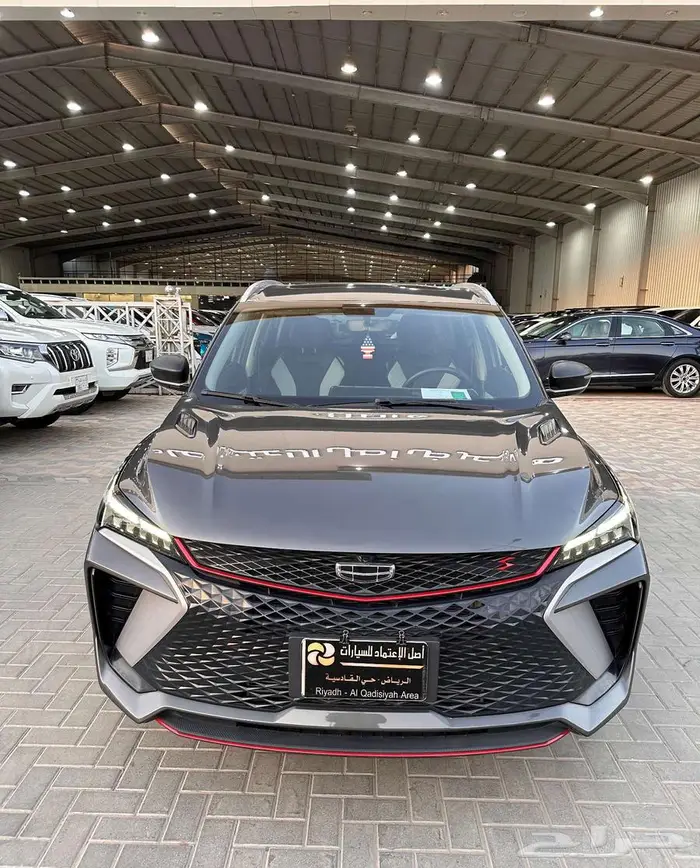 جيلي كولراي 2024 0