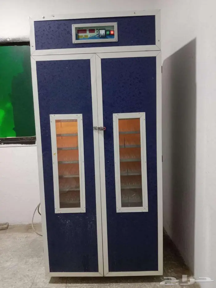 الدمام 2