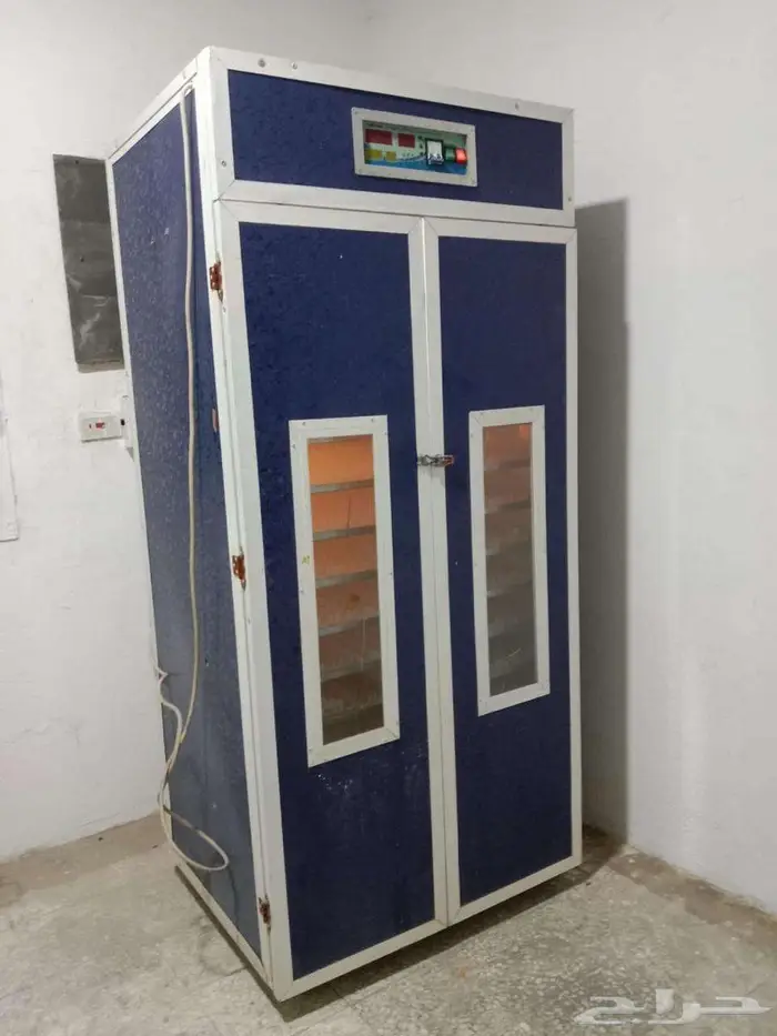 الدمام 1