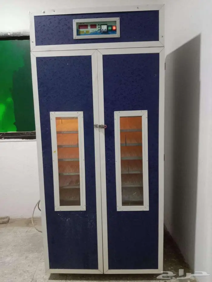 الدمام 3