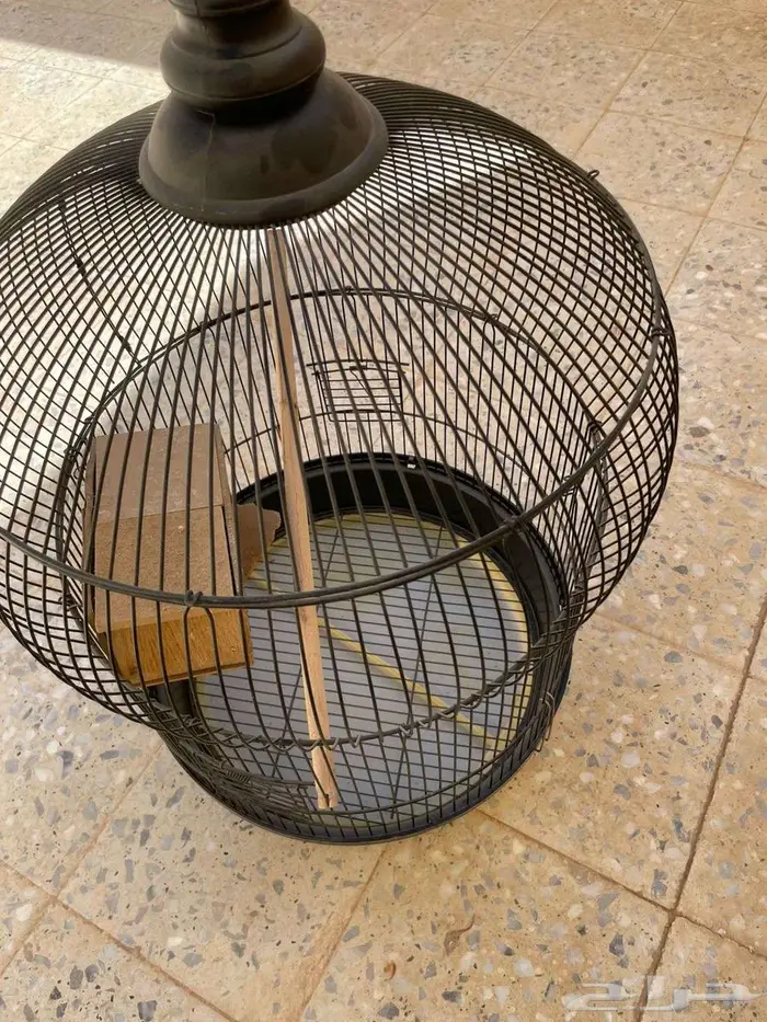 قفص ببغاء كبير جدا 1
