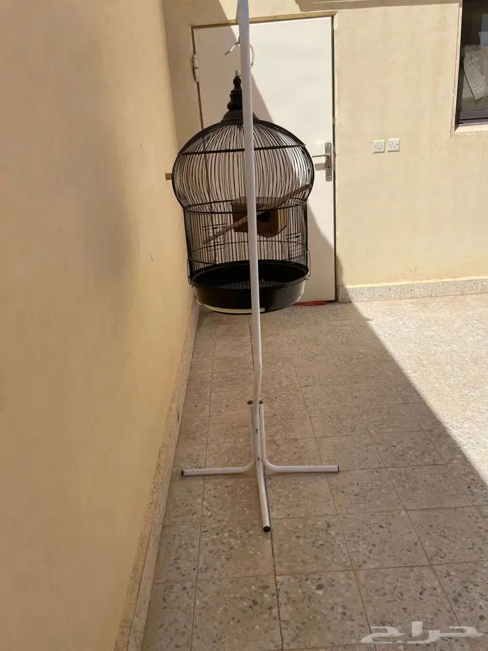 قفص ببغاء كبير جدا 5