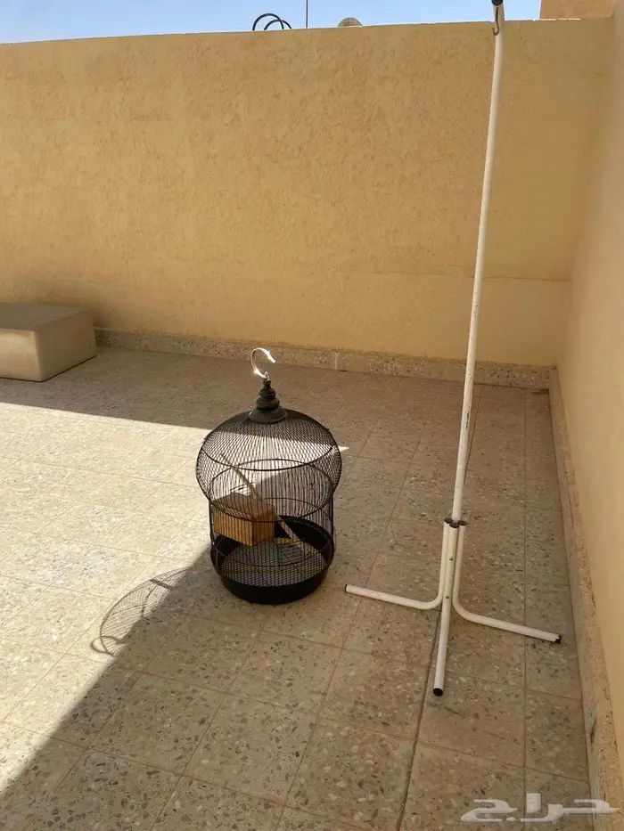 قفص ببغاء كبير جدا 3