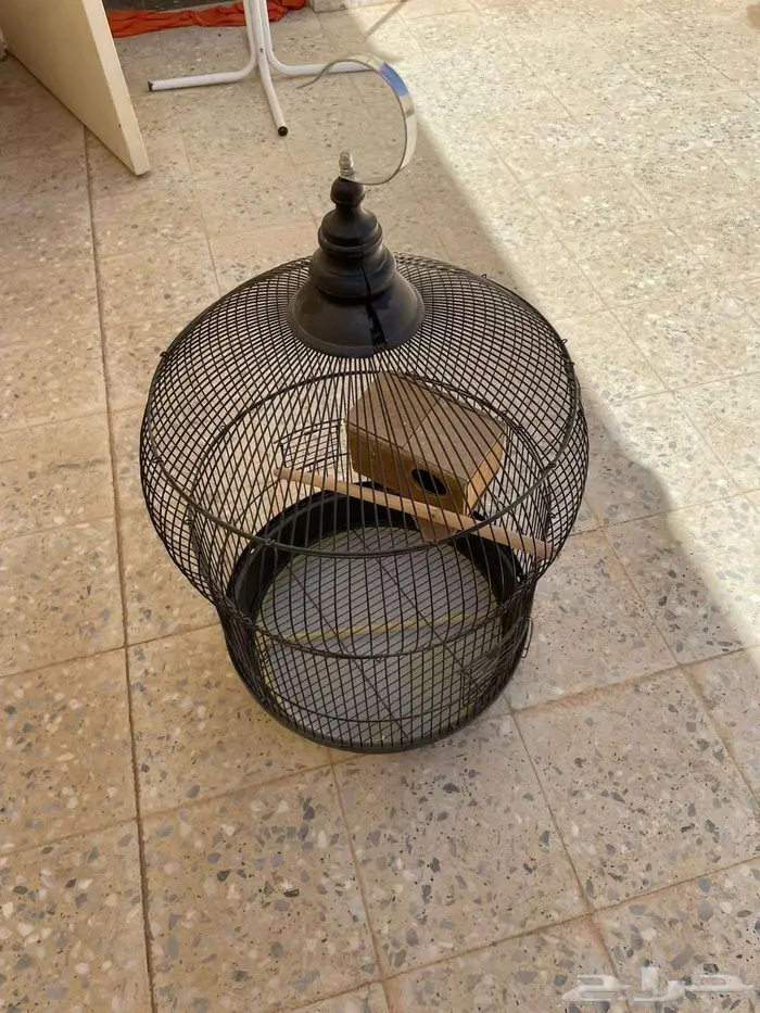 قفص ببغاء كبير جدا 2