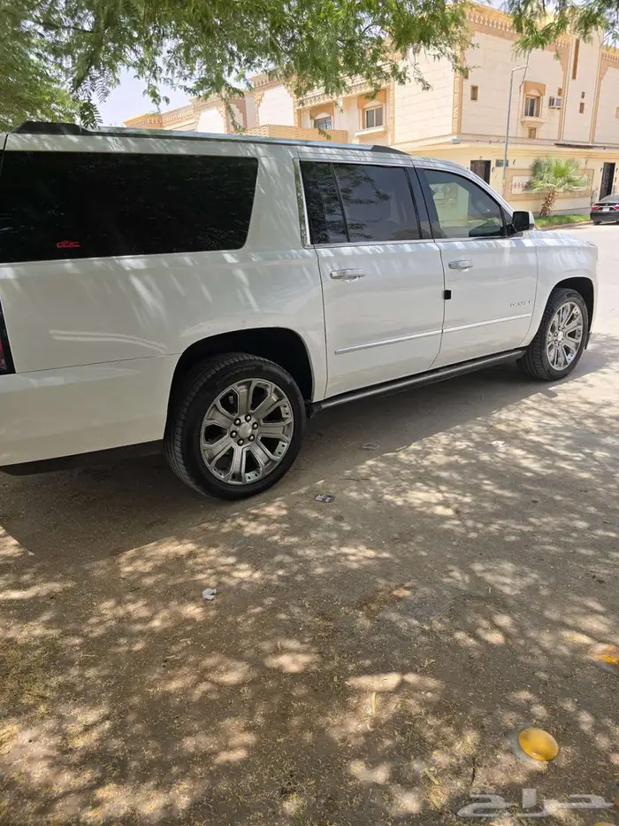 دينالي طويل xl الجميح وكاله 9