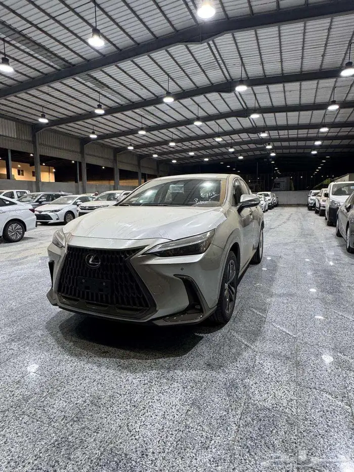 لكزس- NX-350-AA -رصاصى فاتح بنزين موديل 2025 2