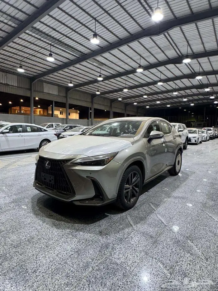 لكزس- NX-350-AA -رصاصى فاتح بنزين موديل 2025 1