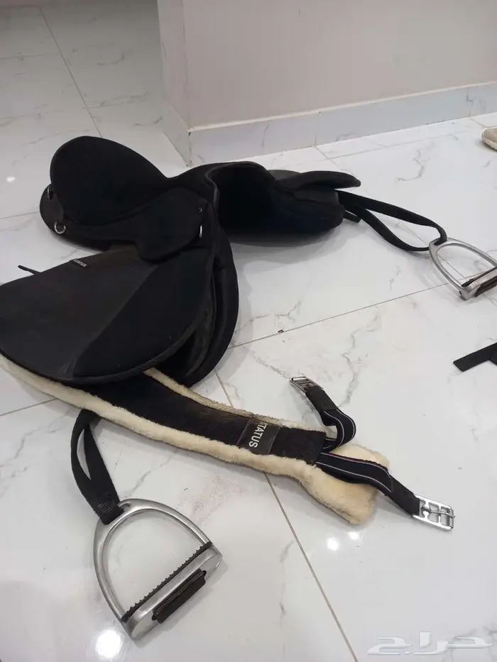 سرج ستيتوس رابغ 4