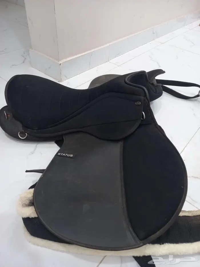 سرج ستيتوس رابغ 1