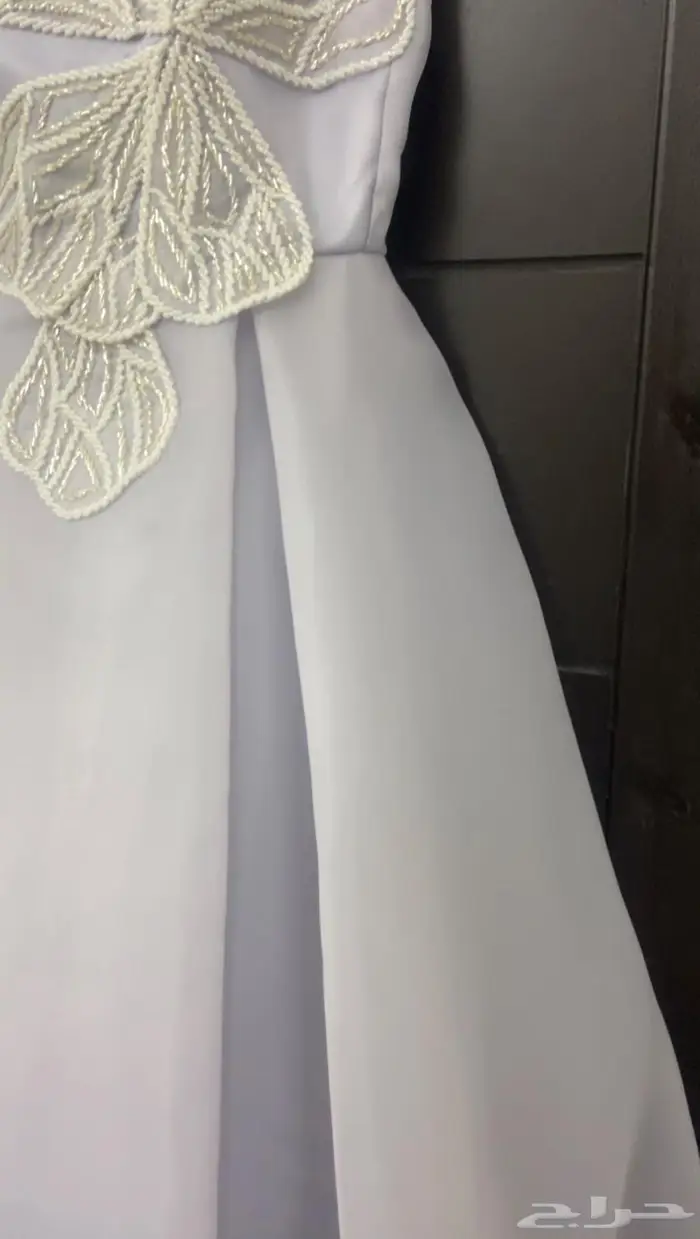 المدينة المنورة 0