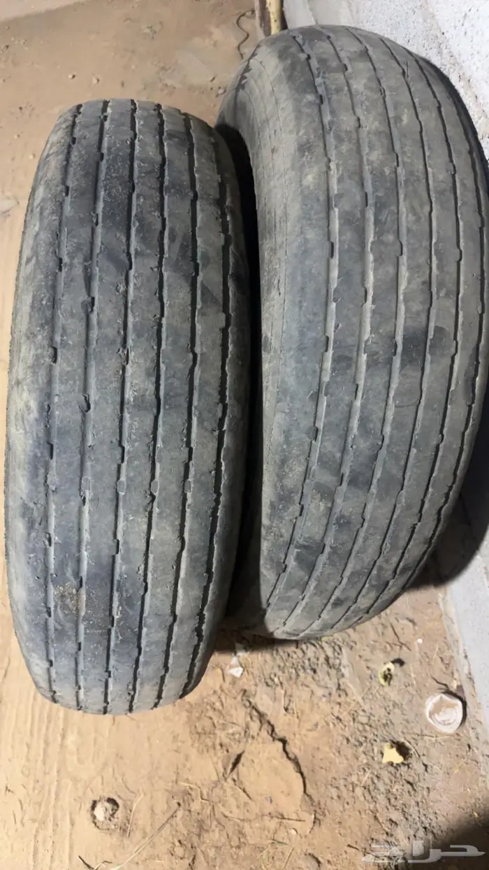 بلون ماكسس تاريخ 24 1