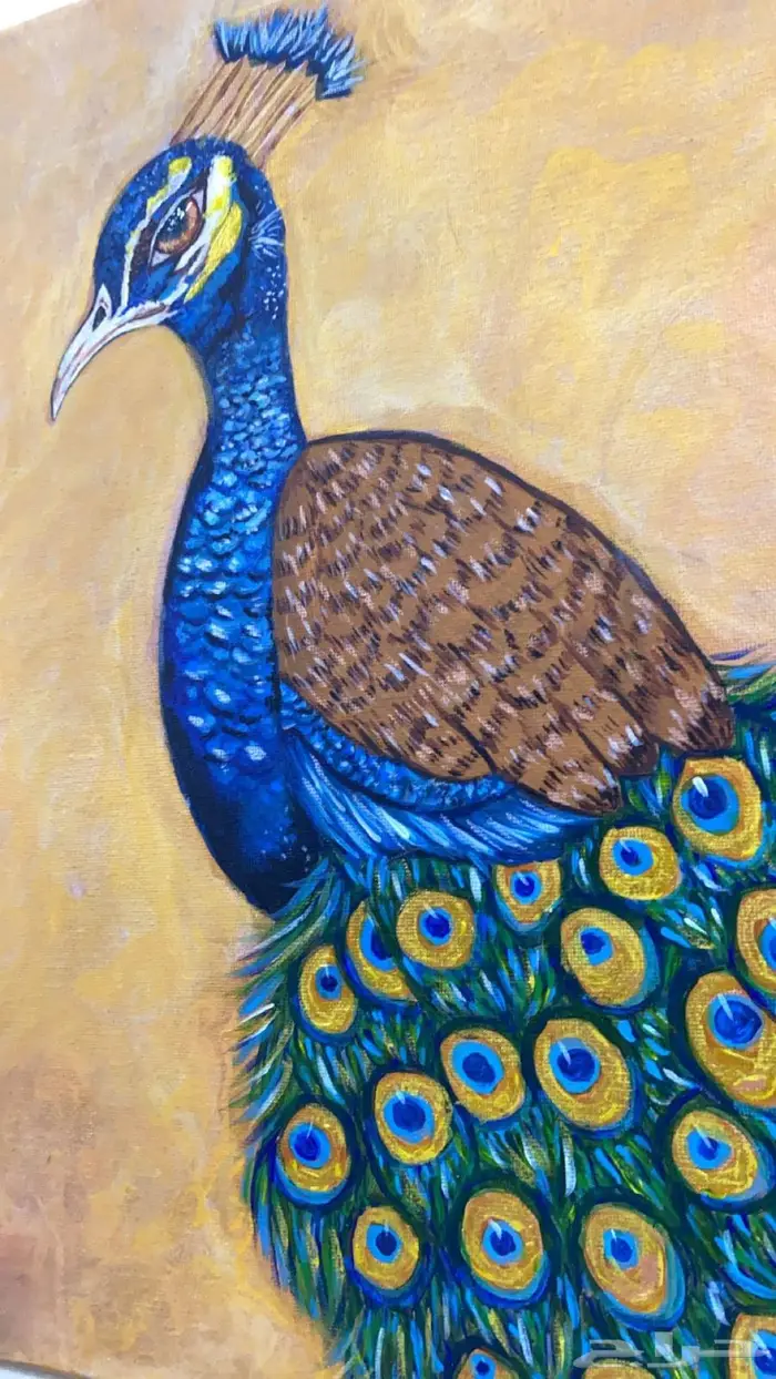 لوحة (طاووس) 1