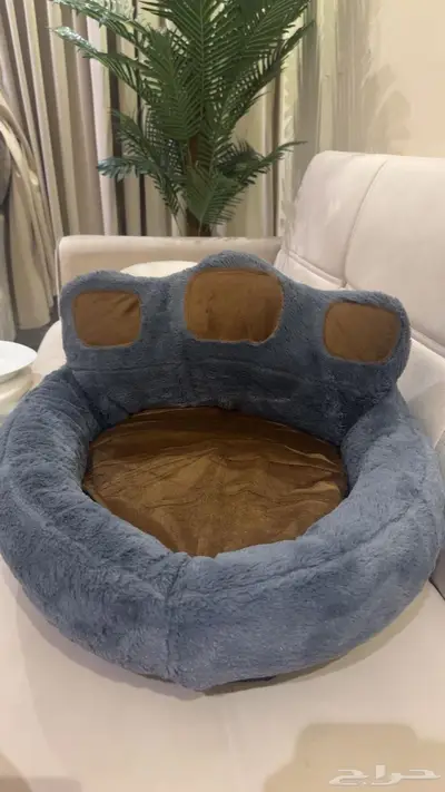 المدينه المنوره 0