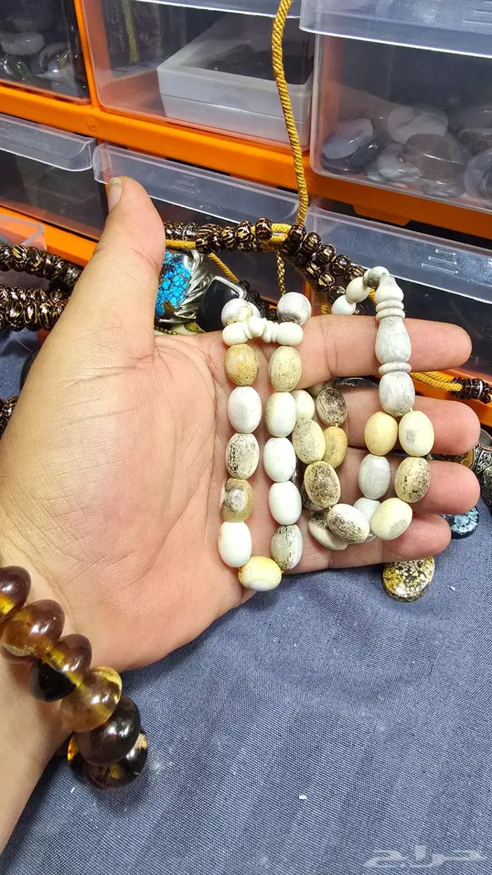 سبحه قرن غزال الايل الاوربي ماشاءالله تبارك الله 0