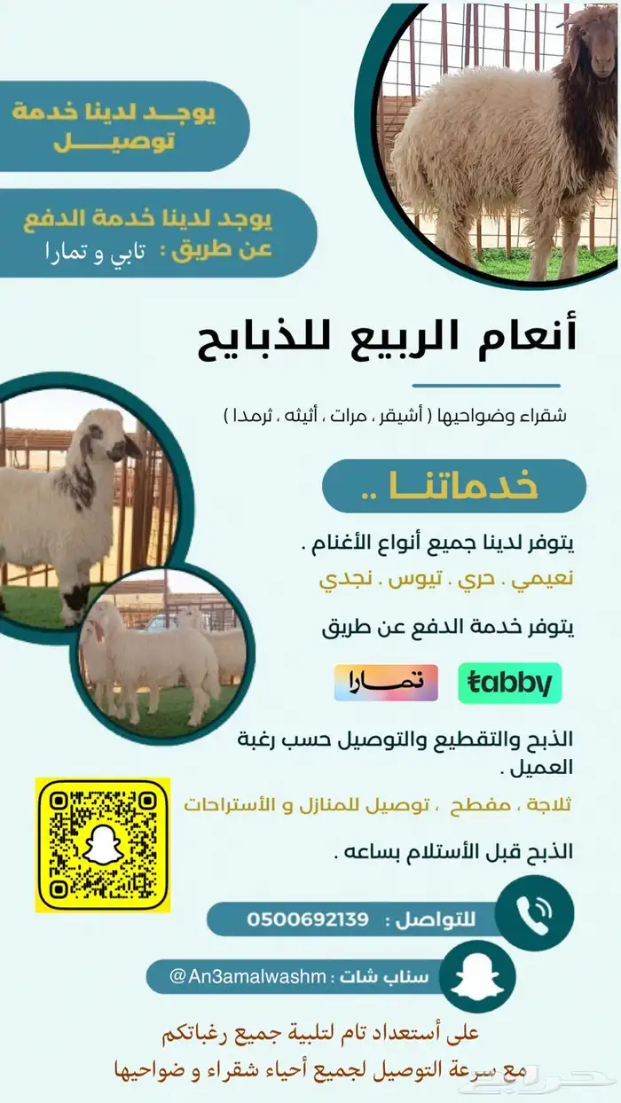 ذبايح تابي تمارا شقراء مرات اشيقر القصب 3