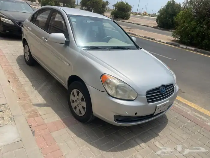 القنفذه 10