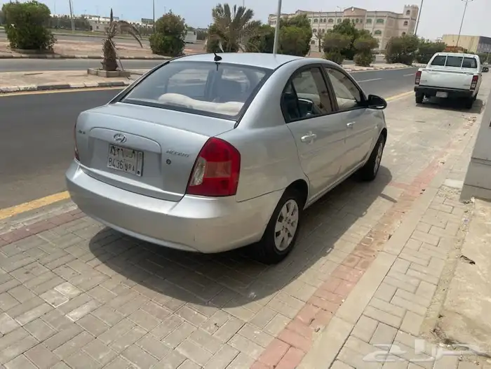 القنفذه 11